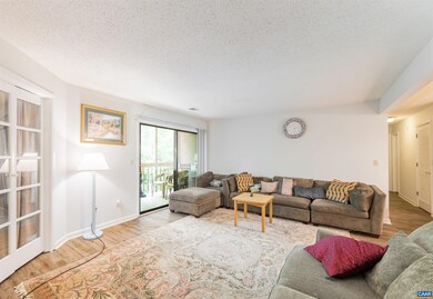 109 Turtle Creek Rd unit 7, Charlottesville, VA 22901 - photo 7