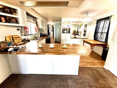 1010 S 400 E unit 39, Springville, UT 84663 - photo 5