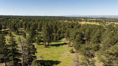 10324 Pine Song Place, Parker, CO 80138 - photo 7