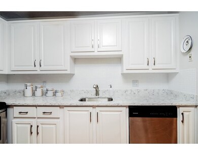 29 Custer St unit 304, Jamaica Plain, MA 02130 - photo 5