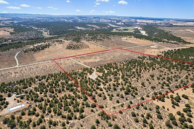 14726 Sage Brush Ln, Glade Park, CO 81523 - photo 2