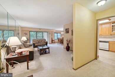 203 Yoakum Pkwy unit 507, Alexandria, VA 22304 - photo 2
