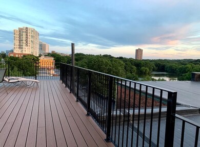 10 Jamaicaway Ct unit 10, Jamaica Plain, MA 02130 - photo 2