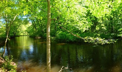 170 E Hadley Rd unit 105, Amherst, MA 01002 - photo 4