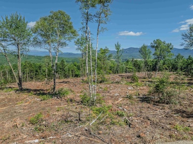 000 Ridge Rd, Bethlehem, NH 03574 - photo 3