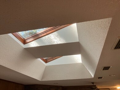 Skylights in Family room