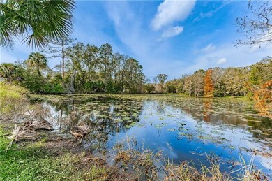 1508 Camphor Cove Dr, Lutz, FL 33549 - photo 4