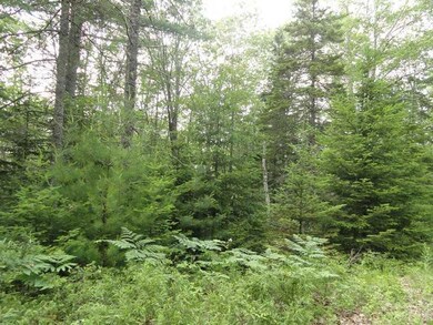 Land/Lot.