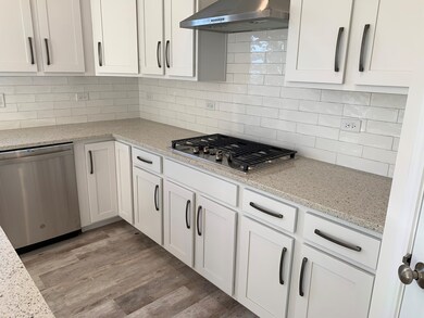 26632 W Red Apple Rd, Plainfield, IL 60585 - photo 6