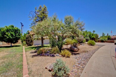 Large front lot