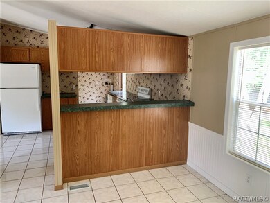 2101 N Blue Max Point, Hernando, FL 34442 - photo 6