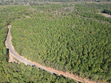 XXX Conerly Dr, McComb, MS 39648 - photo 3