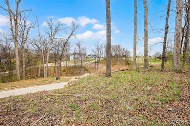 118 Summer Grace Ln, Weldon Spring, MO 63304 - photo 4