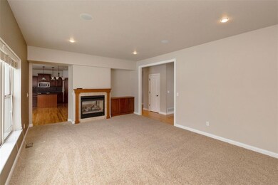 Living Room - 2 sided fireplace is back to back wi