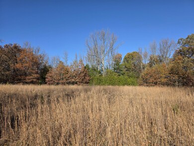 1280 Walnut Grove Rd, Newark, AR 72562 - photo 7