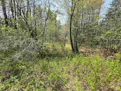 538 Oregon Rd, Concord, VT 05824 - photo 4