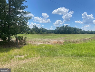 4848 Holmesville Rd, Jesup, GA 31545 - photo 4