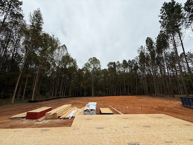 TBD Evans Creek Rd, Brodnax, VA 23920 - photo 3