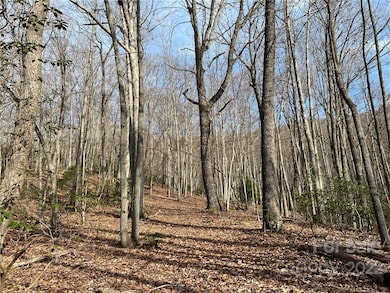 999 Sleepy Gap Rd unit 6, Arden, NC 28704 - photo 6