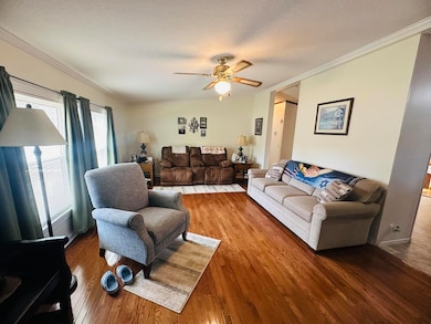 481 Hitchcock Rd, Dunlap, TN 37327 - photo 6