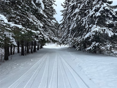 6901 N Zett Rd, Loretta, WI 54896 - photo 5