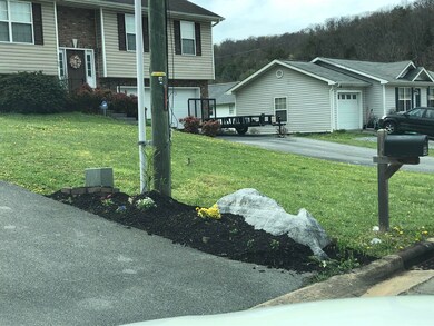 1155 Snowden Terrace, Johnson City, TN 37601 - photo 3