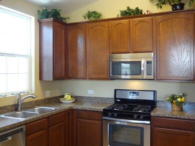 1006 Celebration Dr, Aurora, IL 60504 - photo 5