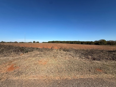 Lot 9 & 10 County Road 6, Headland, AL 36345 - photo 5