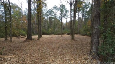 Parcel 2-A Hano Rd, Independence, LA 70443 - photo 7