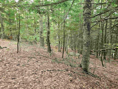 Map 132 Lot 115 Arrowhead Ln, Gilmanton, NH 03237 - photo 4