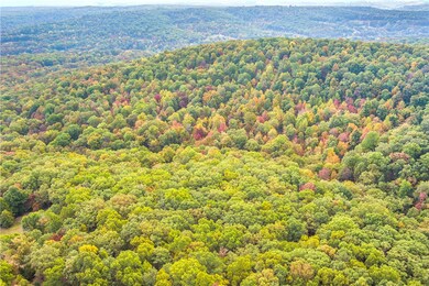 18437 S Highway 71, Winslow, AR 72959 - photo 2