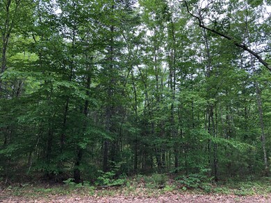 35acres Freemont & Bridgton Roads, Baldwin, ME 04024 - photo 3