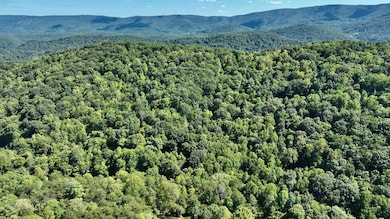 0 Possum Hollow Rd unit 18129399, Oakvale, WV 24740 - photo 7