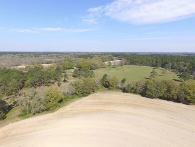 Cultivation off Boyette Road