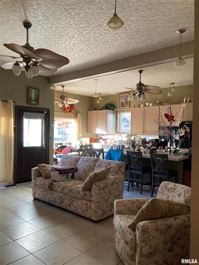 209 Hudson St, Lincoln, IL 62656 - photo 4