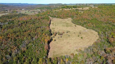 160 Acres Rushing Ridge Rd, Harrison, AR 72601 - photo 3