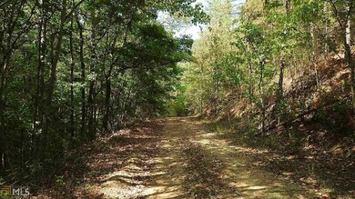 0 Nicklesville Rd NE unit 9637 8073887, Ranger, GA 30734 - photo 5