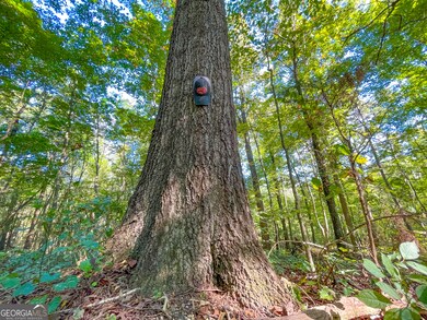 34 + - Acre On Ga Hwy 337, Lafayette, GA 30728 - photo 7