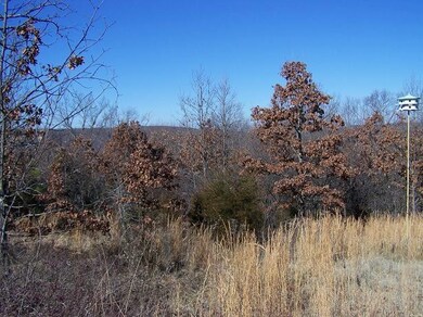 0 SE Slaty Gap Cr# 4149 Rd unit 1032281, West Fork, AR 72744 - photo 3