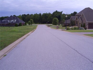 Lot 87 Sienna Cove, Springdale, AR 72764 - photo 3