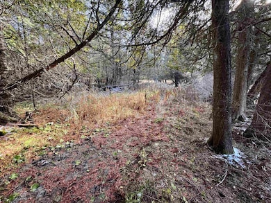 663 Ferguson Rd, Barnet, VT 05821 - photo 5