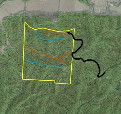 Access road and trails on the property
