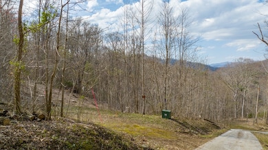 00 River Road Trace, Franklin, NC 28734 - photo 3