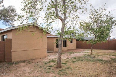 Backyard3