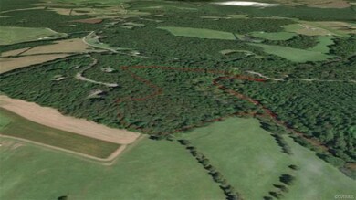 3D aerial view of the 21 acres located at 0 Byrd P