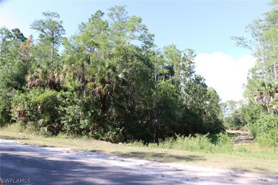 306 Lakeridge Blvd, Lehigh Acres, FL 33972 - photo 3