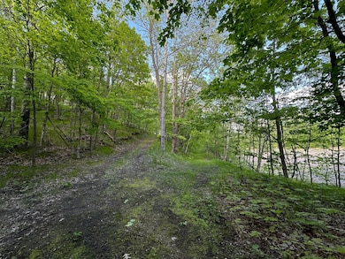 44698 Ida's Ln, Shell Lake Township, MN 56570 - photo 6