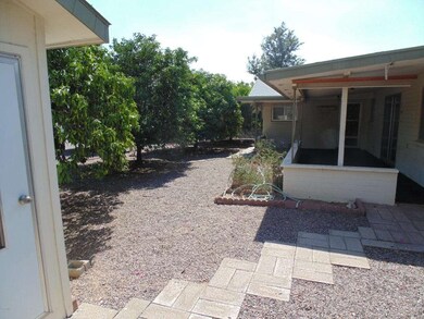 Fruit Trees back yard
