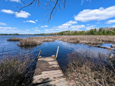 184 Wheaton Rd, Dover Foxcroft, ME 04426 - photo 2