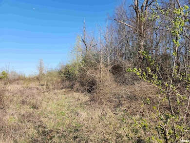 1300 N Tolle Ln, Mount Vernon, IL - photo 3